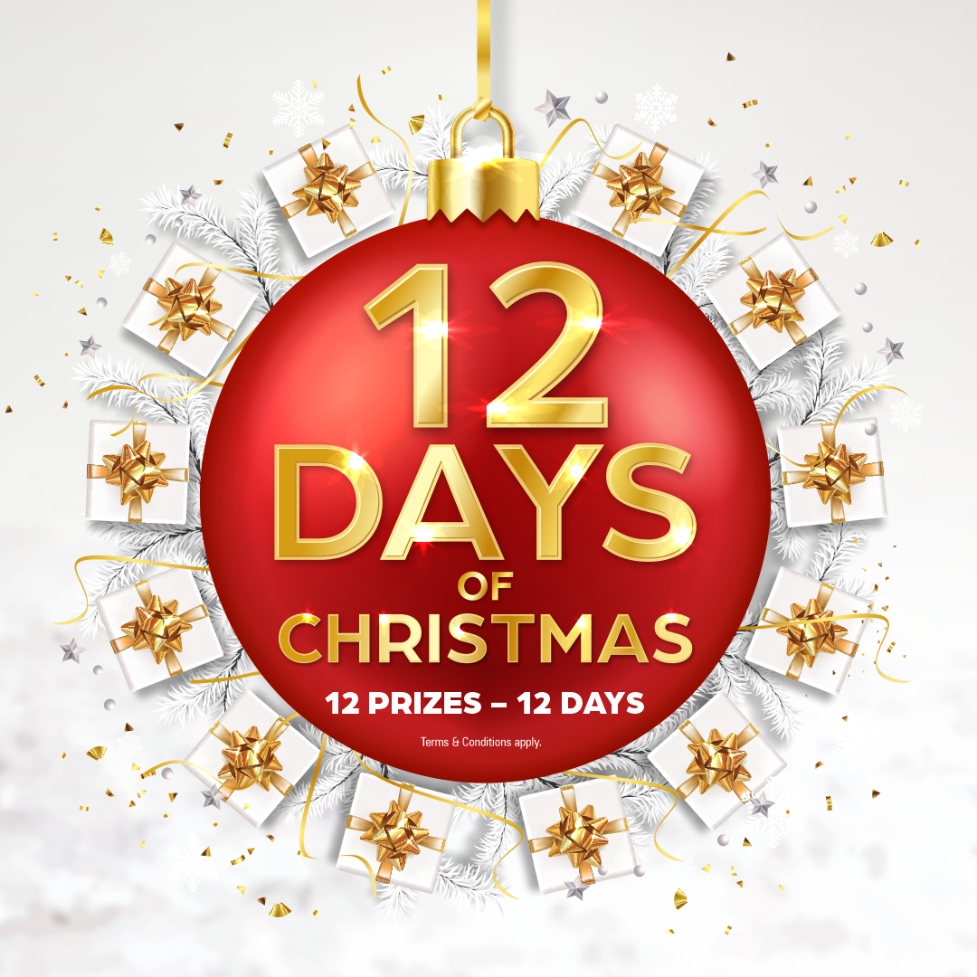 12 Days of Chrismas Giveaway!
